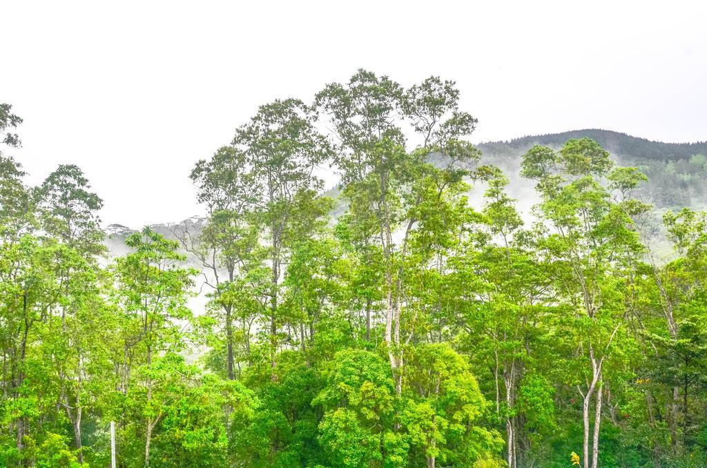 Hanthana Villa Kandy Ngoại thất bức ảnh