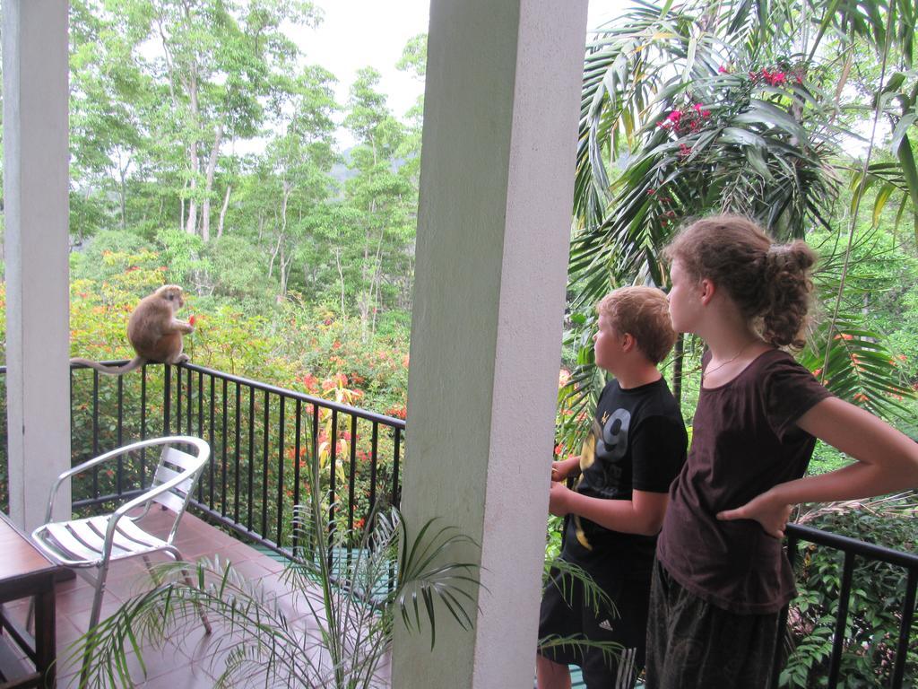 Hanthana Holiday Rooms Kandy Ngoại thất bức ảnh